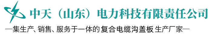 中天（山东）电力科技有限责任公司